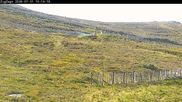 Archived webcam image showing Cairngorm Mountain Ski Resort - Zig Zags Slope on 31 Jul 2026 at 10:50