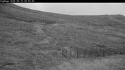 Archived webcam image showing Cairngorm Mountain Ski Resort - Zig Zags Slope on 19 Sep 2026 at 07:33