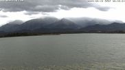 Archived webcam image showing Webcam at Hopfen am See: Restaurant Fischerhütte on 12 Jun 2026 at 08:46