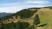 Archiviertes Webcam Bild: Skigebiet Reinswald: Pfnatsch Piste und Restaurant am 26.08.2026 um 16:41 Uhr
