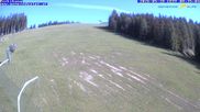 Archiviertes Webcam Bild: Gemeindealpe Mitterbach Birkihang am 28.05.2026 um 08:34 Uhr