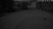 Archiviertes Webcam Bild: Wintersportvereins Ebingen am 12.07.2026 um 04:31 Uhr