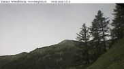 Archived webcam image showing Fäld - Imfeld on 4 Jun 2026 at 12:49