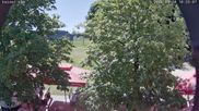 Archiviertes Webcam Bild: Nordisches Langlaufzentrum Breitenberg - Kaiseralm am 28.05.2026 um 10:24 Uhr
