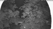 Archiviertes Webcam Bild: Nordisches Langlaufzentrum Breitenberg - Kaiseralm am 12.07.2026 um 00:40 Uhr