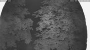 Archiviertes Webcam Bild: Nordisches Langlaufzentrum Breitenberg - Kaiseralm am 05.08.2026 um 00:25 Uhr