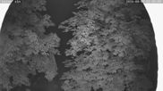 Archived webcam image showing Cross-Country Skiing Breitenberg - Kaiseralm on 3 Aug 2026 at 00:14