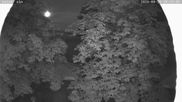 Archiviertes Webcam Bild: Nordisches Langlaufzentrum Breitenberg - Kaiseralm am 26.08.2026 um 20:11 Uhr