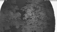 Archiviertes Webcam Bild: Nordisches Langlaufzentrum Breitenberg - Kaiseralm am 26.08.2026 um 22:11 Uhr