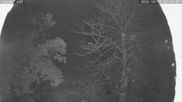 Archiviertes Webcam Bild: Nordisches Langlaufzentrum Breitenberg - Kaiseralm am 11.10.2026 um 00:34 Uhr