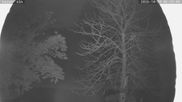 Archiviertes Webcam Bild: Nordisches Langlaufzentrum Breitenberg - Kaiseralm am 20.10.2026 um 06:24 Uhr