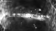 Archived webcam image showing Revelstoke Mountain Resort: View Village on 29 Jun 2026 at 12:31