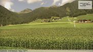Archiviertes Webcam Bild: Berglift Gsies – St. Magdalena, Gsiesertal (Südtirol) am 02.08.2026 um 10:29 Uhr
