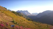 Archiviertes Webcam Bild: Panorama Lake Louise am 26.08.2026 um 16:42 Uhr