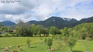 Archived webcam image showing Nordic Skiing: Trail in Klamm on 17 May 2026 at 10:28