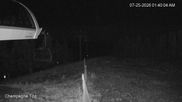 Archiviertes Webcam Bild: Panorama Mountain: Mile 1 Express Lift am 25.07.2026 um 10:35 Uhr