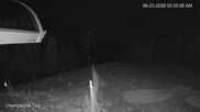 Archiviertes Webcam Bild: Panorama Mountain: Mile 1 Express Lift am 23.09.2026 um 14:06 Uhr