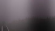 Archived webcam image showing Hochficht Panorama on 1 Jul 2026 at 00:17