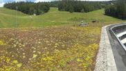 Archived webcam image showing Base station Hochficht on 2 Jul 2026 at 14:09