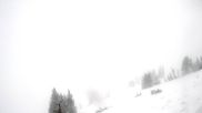 Archived webcam image showing Cody Bowl Jackson Hole Mountain Resort on 21 May 2026 at 14:37