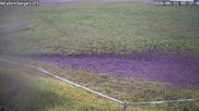 Archived webcam image showing Wildewiese Ski Resort: Sorpe Slope on 11 Jun 2026 at 06:19