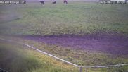 Archived webcam image showing Wildewiese Ski Resort: Sorpe Slope on 11 Jun 2026 at 08:19