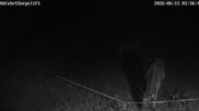 Archived webcam image showing Wildewiese Ski Resort: Sorpe Slope on 11 Jun 2026 at 02:19