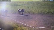 Archived webcam image showing Wildewiese Ski Resort: Sorpe Slope on 12 Jul 2026 at 08:54