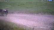 Archived webcam image showing Wildewiese Ski Resort: Sorpe Slope on 12 Jul 2026 at 14:04
