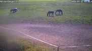 Archived webcam image showing Wildewiese Ski Resort: Sorpe Slope on 12 Jul 2026 at 10:54