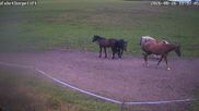 Archiviertes Webcam Bild: Wildewiese: Flutlichthang Sorpe-Abfahrt am 26.08.2026 um 12:32 Uhr