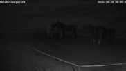 Archiviertes Webcam Bild: Wildewiese: Flutlichthang Sorpe-Abfahrt am 10.10.2026 um 07:44 Uhr