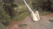 Archived webcam image showing Geierlay Suspension Bridge near Mörsdorf on 5 Jun 2026 at 08:07