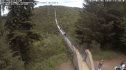 Archived webcam image showing Geierlay Suspension Bridge near Mörsdorf on 5 Jun 2026 at 14:07