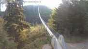 Archived webcam image showing Geierlay Suspension Bridge near Mörsdorf on 20 Jun 2026 at 07:39