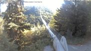 Archived webcam image showing Geierlay Suspension Bridge near Mörsdorf on 20 Jun 2026 at 08:39