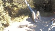 Archived webcam image showing Geierlay Suspension Bridge near Mörsdorf on 20 Jun 2026 at 10:39
