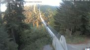 Archived webcam image showing Geierlay Suspension Bridge near Mörsdorf on 20 Jun 2026 at 20:39