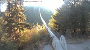 Archived webcam image showing Geierlay Suspension Bridge near Mörsdorf on 8 Aug 2026 at 07:22
