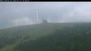 Archiviertes Webcam Bild: Lachtal - Schönberg Schaukel am 12.07.2026 um 14:51 Uhr