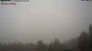 Archiviertes Webcam Bild: Feldberg-Seebuck Raimartihof am 13.04.2026 um 10:06 Uhr