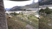 Archived webcam image showing Tauernmoos - View to the northeast on 7 Aug 2026 at 14:58