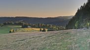 Archived webcam image showing Todtnauberg - Panorama on 12 Jul 2026 at 20:15