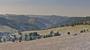 Archived webcam image showing Todtnauberg - Panorama on 11 Aug 2026 at 10:59