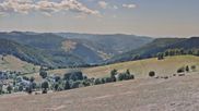 Archived webcam image showing Todtnauberg - Panorama on 11 Aug 2026 at 12:59