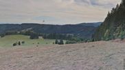 Archived webcam image showing Todtnauberg - Panorama on 26 Aug 2026 at 16:33