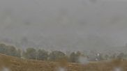 Archived webcam image showing Todtnauberg - Panorama on 10 Oct 2026 at 10:06