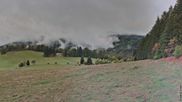 Archived webcam image showing Todtnauberg - Panorama on 10 Oct 2026 at 12:06