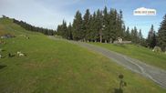 Archiviertes Webcam Bild: Leogang: Asitz Bergstation am 21.08.2026 um 08:02 Uhr