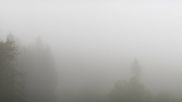 Archived webcam image showing Brend Tower in Furtwangen on 18 May 2026 at 08:24